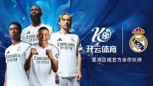 新手快速掌握开云体育简介要点