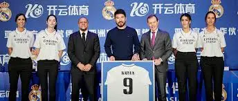 用户视角解读开云体育简介特色